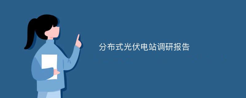 分布式光伏电站调研报告