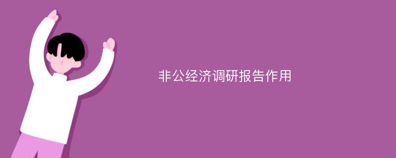 非公经济调研报告作用